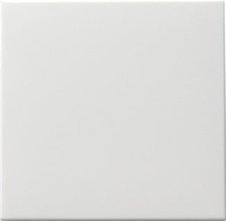 Gira Sistema 55 Interruptor Táctil Rocker Blanco Puro Mate - 091627 [2 Piezas]