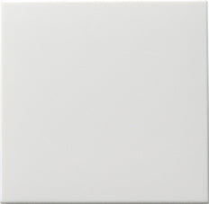 Gira Sistema 55 Interruptor Táctil Rocker Blanco Puro Mate - 091627 [2 Piezas]