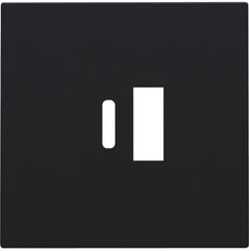 Niko Doble Inteligente Usb-A Y Usb-C Cargador Tapa Negra - 161-68002