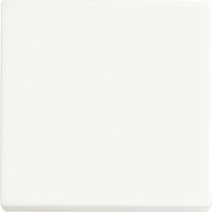 ABB Futuro Interruptor Lineal Inteligente Panel De Control Mate Blanco - 2CKA006730A0149