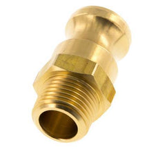 Acoplamiento de latón Camlock DN 15 (1/2'') R 1/2'' rosca macho tipo F MIL-C-27487
