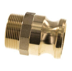 Acoplamiento de latón Camlock DN 40 (1 1/2'') R 1 1/2'' Rosca Macho Tipo F MIL-C-27487