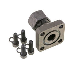 Brida de bomba LK 55 Acero con 20S (M30x2)