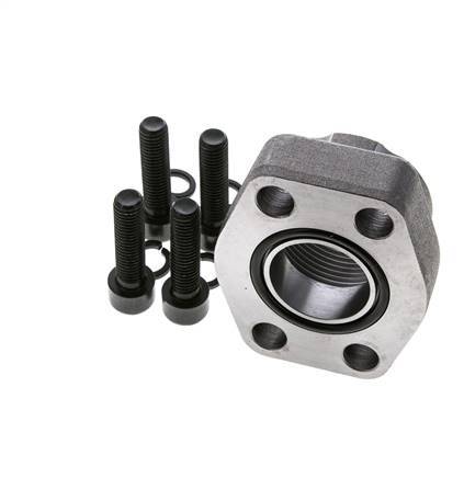 Brida SAE 1-1/4'' Acero liso 3000 PSI con roscas hembra G1-1/4'' ISO 6162-1