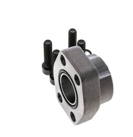 Brida SAE 1-1/4'' Acero liso 3000 PSI con roscas hembra G1-1/4'' ISO 6162-1