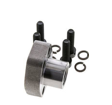 Brida SAE de 1/2'' 6000 PSI de acero liso con roscas hembra G1/2'' ISO 6162-2