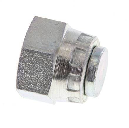 End Cap G1/4'' Steel with External Hex 60° cone 575bar (8078.75psi) Hydraulic [2 Pieces]