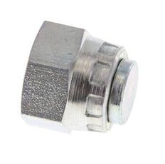 End Cap G1/4'' Steel with External Hex 60° cone 575bar (8078.75psi) Hydraulic [2 Pieces]
