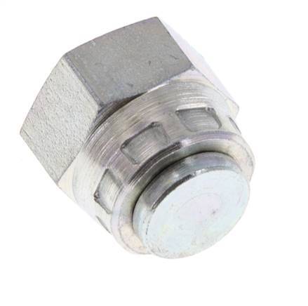 End Cap G1/4'' Steel with External Hex 60° cone 575bar (8078.75psi) Hydraulic [2 Pieces]