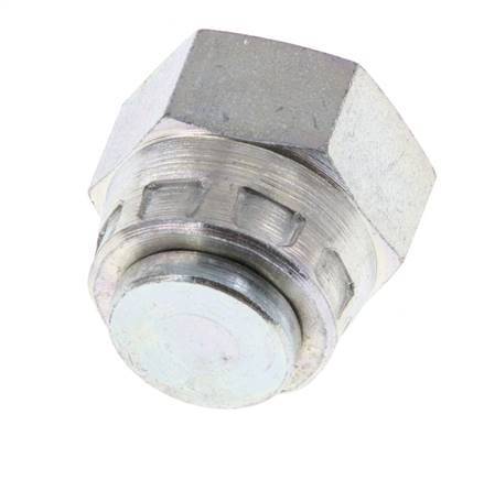 End Cap G1/4'' Steel with External Hex 60° cone 575bar (8078.75psi) Hydraulic [2 Pieces]