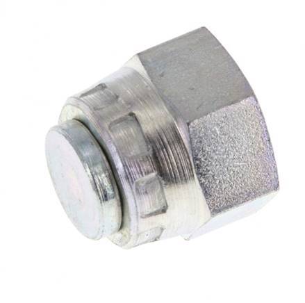 End Cap G1/4'' Steel with External Hex 60° cone 575bar (8078.75psi) Hydraulic [2 Pieces]