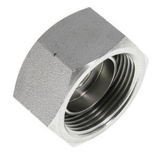 End Cap G1 1/4'' Steel with External Hex 60° cone 150bar (2107.5psi) Hydraulic