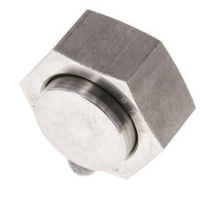 End Cap G1 1/4'' Stainless steel with External Hex 60° cone 150bar (2107.5psi) Hydraulic