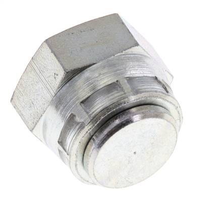 End Cap G3/8'' Steel with External Hex 60° cone 425bar (5971.25psi) Hydraulic [2 Pieces]