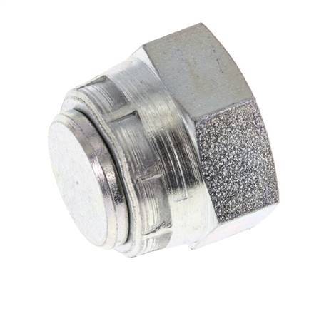 End Cap G3/8'' Steel with External Hex 60° cone 425bar (5971.25psi) Hydraulic [2 Pieces]