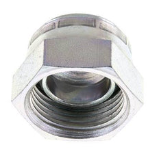 End Cap G1'' Steel with External Hex 60° cone 150bar (2107.5psi) Hydraulic