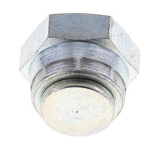 End Cap G1/2'' Steel with External Hex 60° cone 300bar (4215.0psi) Hydraulic [2 Pieces]