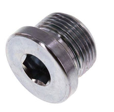 Plug M22 X 1.5 Steel FKM with Internal Hex 400bar (5620.0psi) [2 Pieces]
