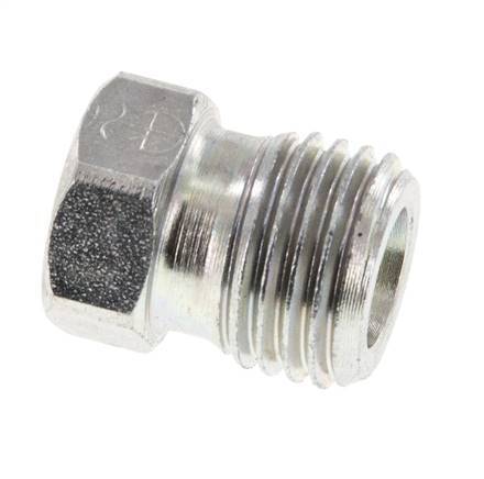 6S Tapón de cierre de acero galvanizado para tubos 630 Bar DIN 2353 [2 piezas]