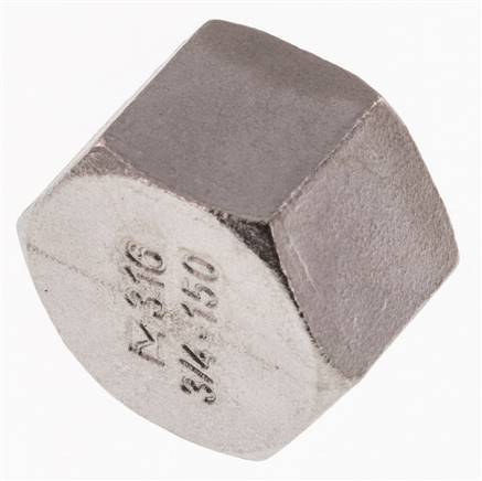 3/4'' NPT Tapa final de acero inoxidable 16 Bar