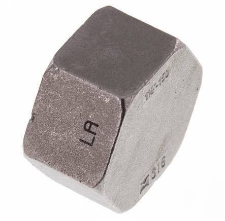 Rp 1 1/2'' Tapa final de acero inoxidable 16 Bar