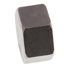 Rp 1 1/2'' Tapa final de acero inoxidable 16 Bar