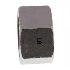 1 1/4'' NPT Tapa final de acero inoxidable 16 Bar