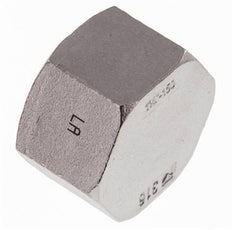 1 1/4'' NPT Tapa final de acero inoxidable 16 Bar