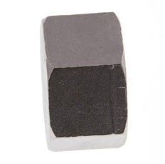1 1/4'' NPT Tapa final de acero inoxidable 16 Bar
