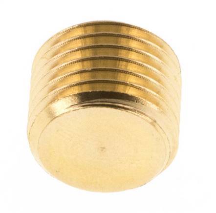 G 1/4'' Brass Closing plug with Inner Hex without collar 16 Bar [10 Pieces]
