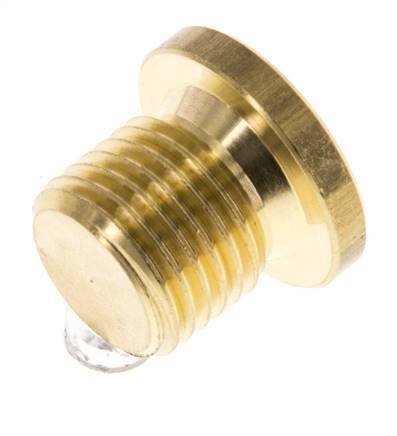 G 1/4'' Brass Closing plug with Inner Hex 16 Bar [10 Pieces]