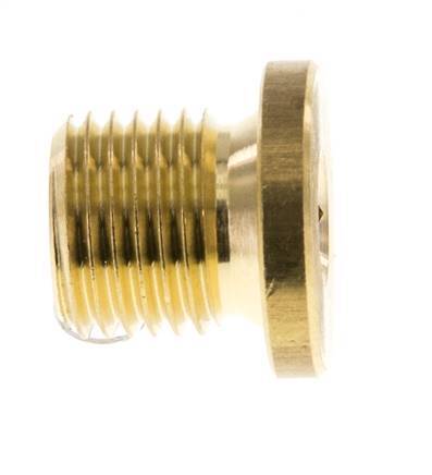 G 1/4'' Brass Closing plug with Inner Hex 16 Bar [10 Pieces]