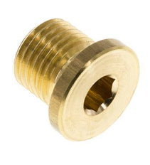 G 1/4'' Brass Closing plug with Inner Hex 16 Bar [10 Pieces]