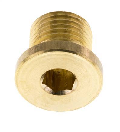 G 1/4'' Brass Closing plug with Inner Hex 16 Bar [10 Pieces]