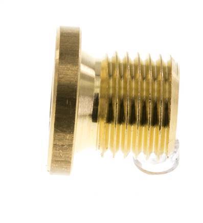 G 1/4'' Brass Closing plug with Inner Hex 16 Bar [10 Pieces]