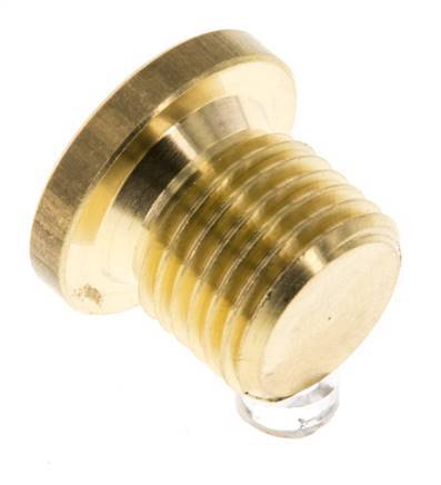 G 1/4'' Brass Closing plug with Inner Hex 16 Bar [10 Pieces]
