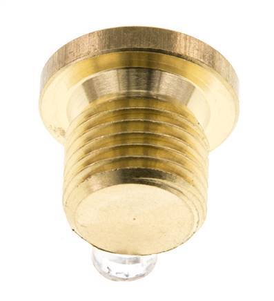 G 1/4'' Brass Closing plug with Inner Hex 16 Bar [10 Pieces]