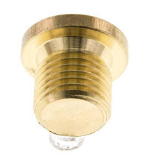 G 1/4'' Brass Closing plug with Inner Hex 16 Bar [10 Pieces]