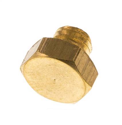M5 Brass Closing plug with Outer Hex 16 Bar [10 Pieces]