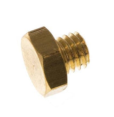 M5 Brass Closing plug with Outer Hex 16 Bar [10 Pieces]