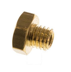 M5 Brass Closing plug with Outer Hex 16 Bar [10 Pieces]