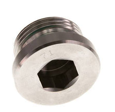 G 1'' Macho Tapón de cierre de acero inoxidable con hexágono interior y junta FKM 400 Bar
