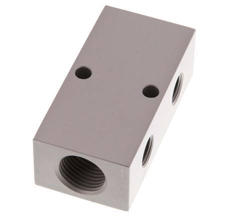 2xG 1/2'' x 4xG 1/4'' Bloque distribuidor de aluminio de doble cara 16 barras