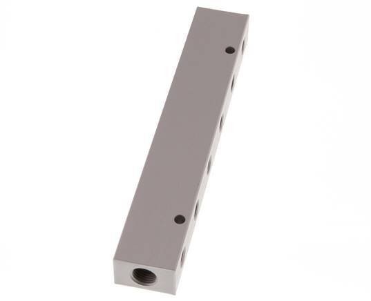 2xG 1/4'' x 12xG 1/8'' Bloque distribuidor de aluminio de doble cara de 16 barras