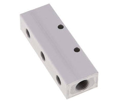 2xG 1/4'' x 6xG 1/8'' Bloque distribuidor de aluminio de doble cara de 16 barras