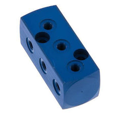 1xG 1/8'' x 9xM5 Bloque distribuidor de aluminio de una cara 16 barras