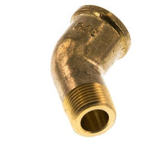 Rp 3/8'' x R 3/8'' F/M Brass 45 deg Elbow Fitting 16 Bar