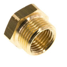 G 1/4'' x G 3/8'' F/M Brass Reducing Ring 16 Bar [10 Pieces]