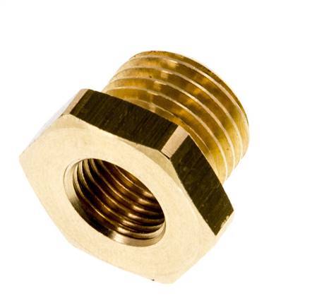 G 1/8'' x G 1/4'' F/M Brass Reducing Ring 16 Bar [10 Pieces]