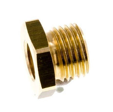 G 1/8'' x G 1/4'' F/M Brass Reducing Ring 16 Bar [10 Pieces]